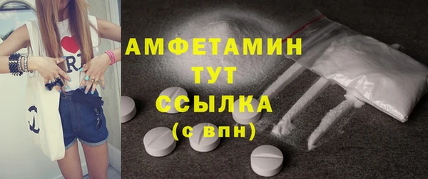 молекула духа Елизово