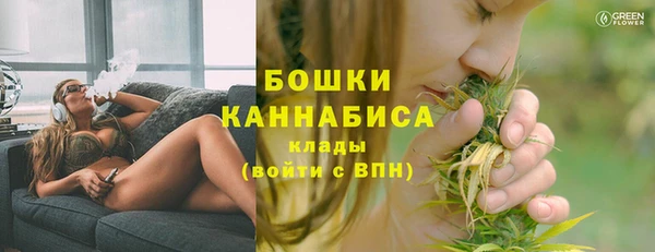 молекула духа Елизово
