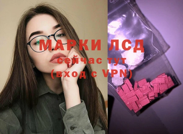 молекула духа Елизово