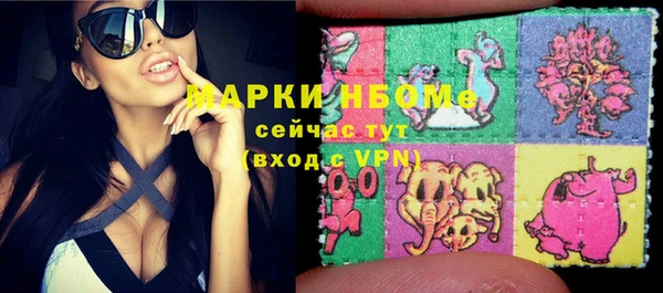 молекула духа Елизово