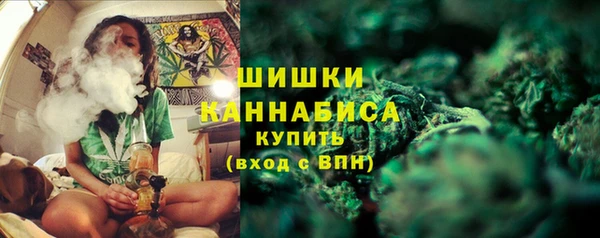 молекула духа Елизово