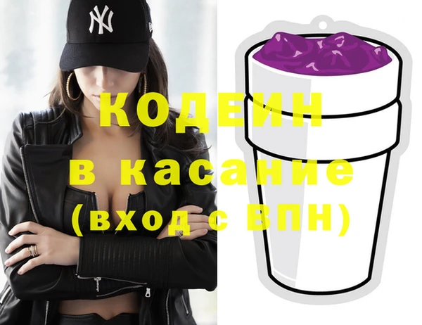 молекула духа Елизово