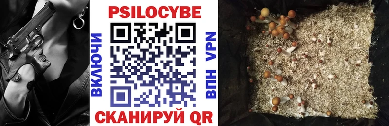 Купить  Усолье-Сибирское  Галлюциногенные грибы Psilocybe 
